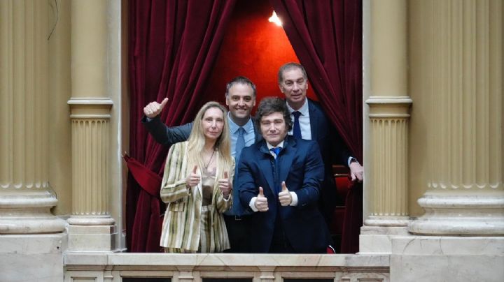 Jura de Diputados: Massot calificó a Milei de "barrabrava"