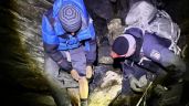 Foto ilustrativa de la nota titulada: Encontraron a dos turistas que se habían perdido en el Cerro del Plata 
