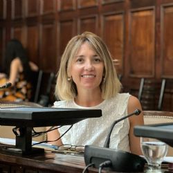 Regalías mineras y autonomía municipal: cuando la renta territorial revela falla institucional (I)