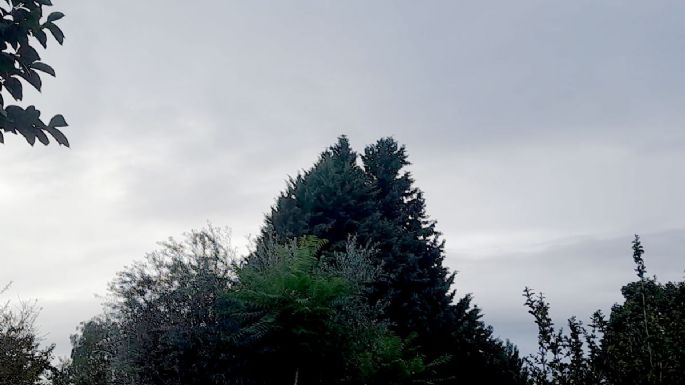 ¿Seguirán las lluvias en Mendoza? Esto dice el pronóstico