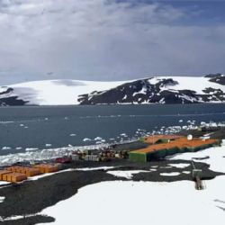 Descubrimiento revela extensión de áreas libres de hielo y vegetación en Antártida