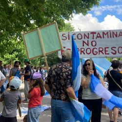 Ambientalistas viralizaron flyers con recomendaciones “en caso de detención” 