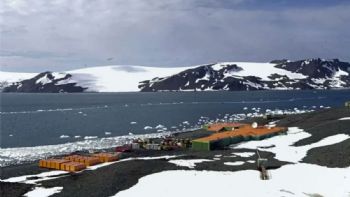 Descubrimiento revela extensión de áreas libres de hielo y vegetación en Antártida