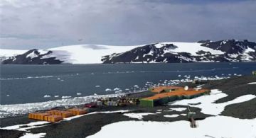 Descubrimiento revela extensión de áreas libres de hielo y vegetación en Antártida