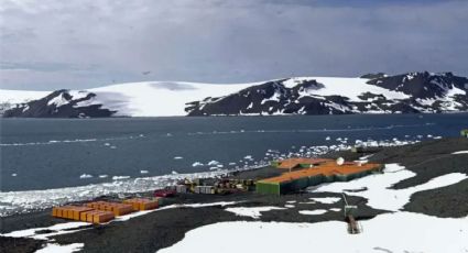 Descubrimiento revela extensión de áreas libres de hielo y vegetación en Antártida