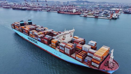 Fuerte primarización de las exportaciones vitivinícolas