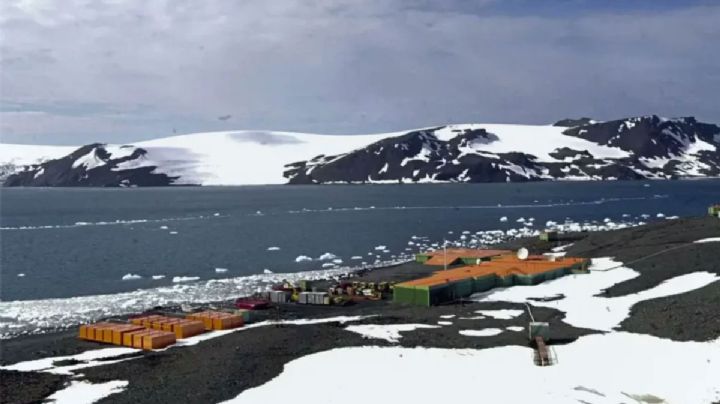 Descubrimiento revela extensión de áreas libres de hielo y vegetación en Antártida