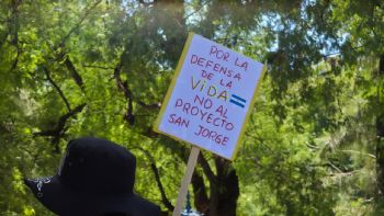 Imágenes de la multitudinaria marcha ambientalista