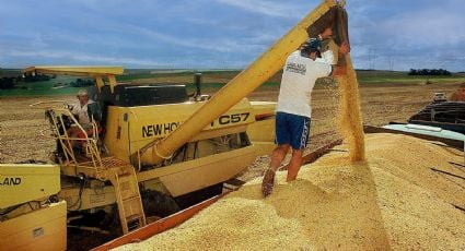 El Gobierno bajó retenciones de trigo, cebada y soja