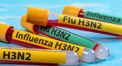 Perú declaró alerta y Bolivia con vigilancia sanitaria por primeros casos sospechosos de influenza A