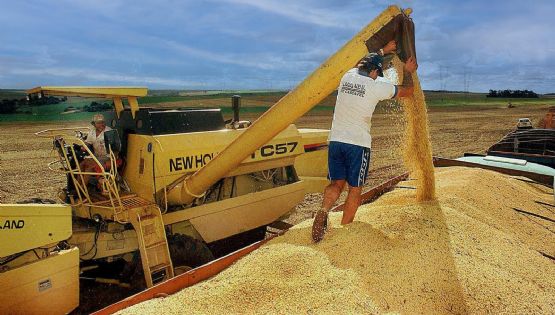 La liquidación del agro creció 25% en 2025 al totalizar más de US$31.300 millones