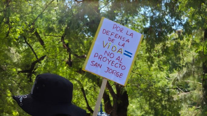 Imágenes: así fue la multitudinaria marcha ambientalista