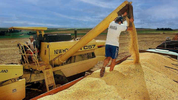 El Gobierno anunció una nueva baja en las retenciones para el campo