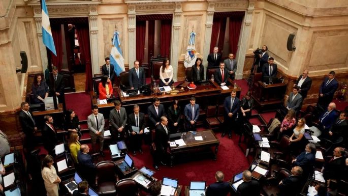 El Senado no tratará Ficha Limpia por homenajear a Francisco