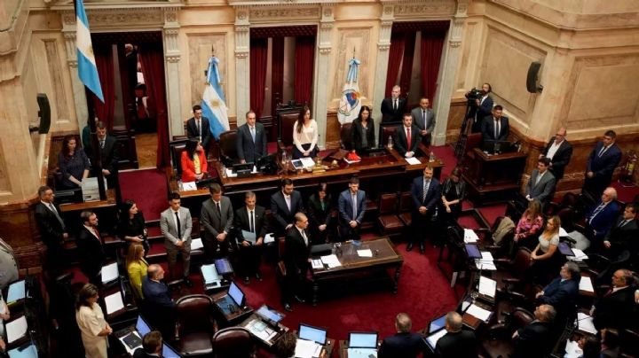 El Senado no tratará Ficha Limpia por homenajear a Francisco