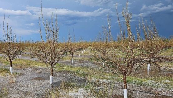 Qué significa la declaración de Emergencia Aluvional y Eléctrica del Gobierno