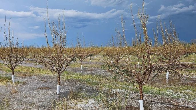 Qué significa la declaración de Emergencia Aluvional y Eléctrica del Gobierno