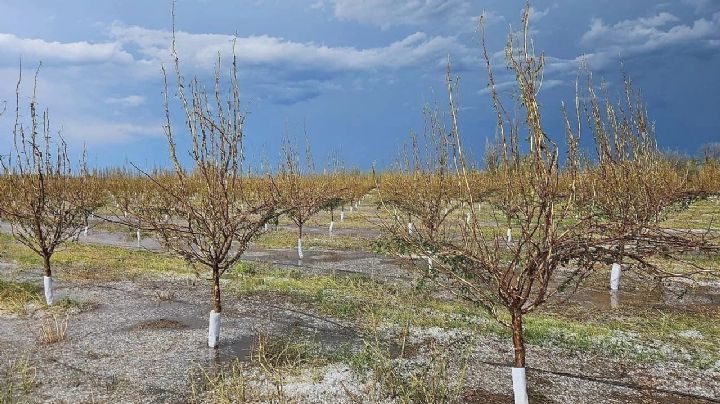 Qué significa la declaración de Emergencia Aluvional y Eléctrica del Gobierno