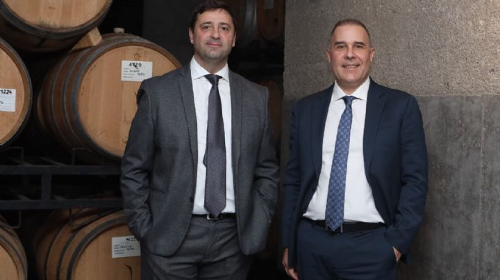 El CEM apoya derogar la ley que creó la Coviar para desregular y reducir costos