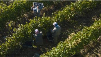 Trabajadores rurales temporales no perderán sus planes sociales