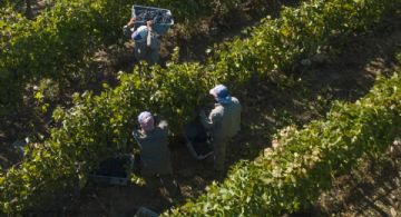 Treinta entidades vitivinícolas defendieron a la Coviar del "centralismo porteño"