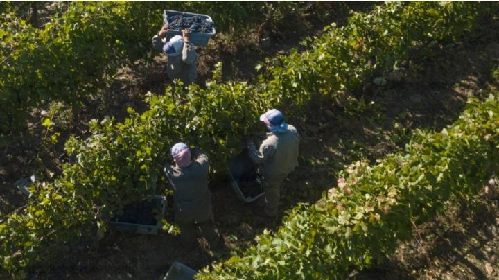 Treinta entidades vitivinícolas defendieron a la Coviar del "centralismo porteño"
