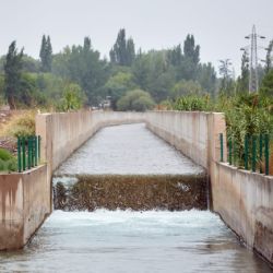 El ruido de la política frente a la gestión técnica para la seguridad hídrica