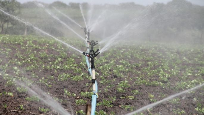 El agua en la Mendoza de hoy y de siempre