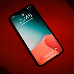 Lanzan el primer celular biodegradable con IA integrada