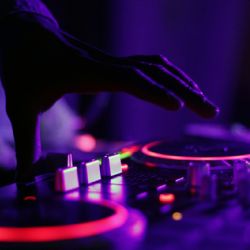 Crece el furor por las plantas que responden a la música