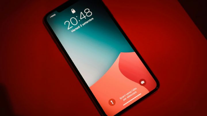 Lanzan el primer celular biodegradable con IA integrada
