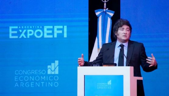 Precupación internacional por una medida de Milei
