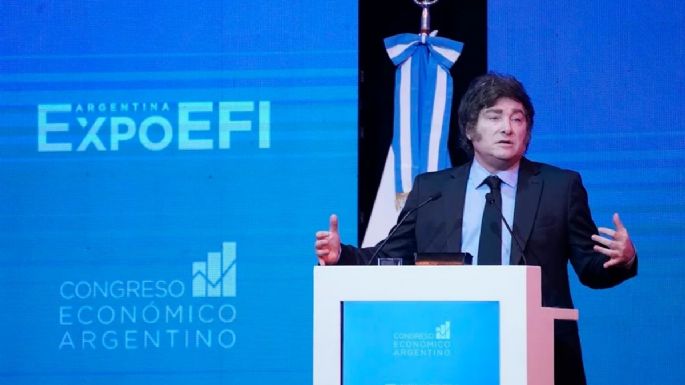 Precupación internacional por una medida de Milei