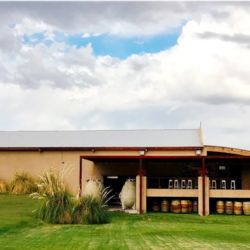 Los restaurantes mendocinos que se quedaron con la estrella