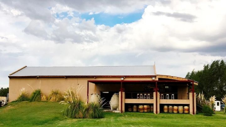 Los restaurantes mendocinos que se quedaron con la estrella