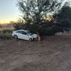 Una policía está grave tras chocar contra un árbol