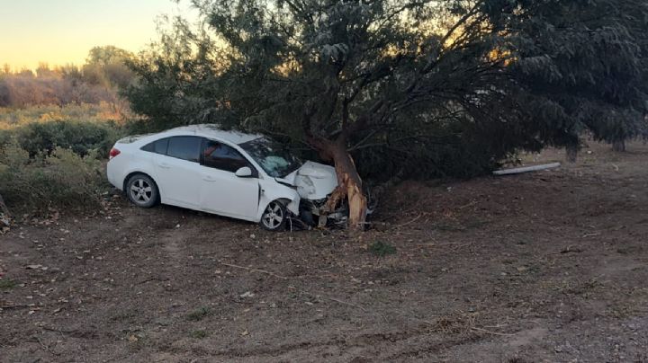 Una policía está grave tras chocar contra un árbol