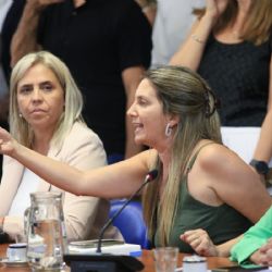 La respuesta de Lospennato a Milei por acusar al PRO de acordar con CFK