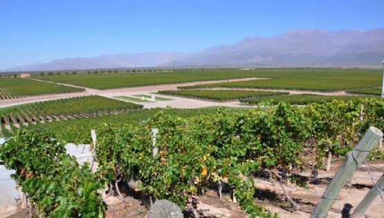 Martes agradable y soleado, antecede al ingreso de un frente frío