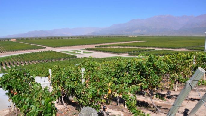 Pronóstico: siguen los días primaverales en Mendoza