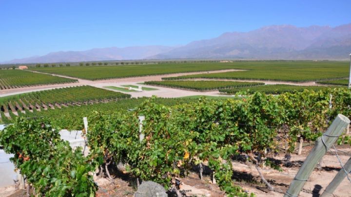 Pronóstico: siguen los días primaverales en Mendoza