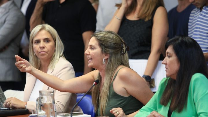 La respuesta de Lospennato a Milei por acusar al PRO de acordar con CFK
