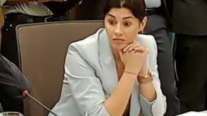 Ahora los libertarios quieren eliminar los Consejos Profesionales