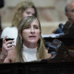 Jueces sin antecedentes partidarios: el proyecto de la mendocina Llano