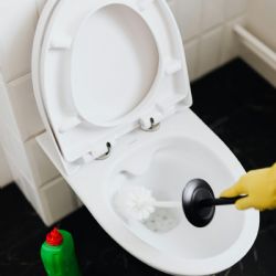 Vida natural: elimina el molesto sarro del inodoro