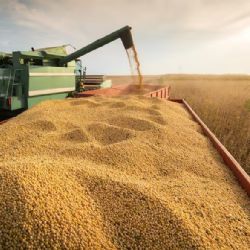 U$S 1.600 millones para 10 grandes exportadoras