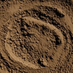 Cuáles son los signos de tierra y como es su personalidad