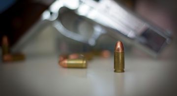 Giro radical en la tenencia de armas en Argentina: facilitan el acceso