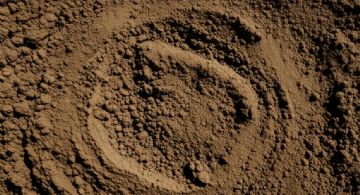 Cuáles son los signos de tierra y como es su personalidad