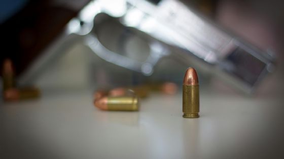 ¿Armas para todos?: una desregulación peligrosa